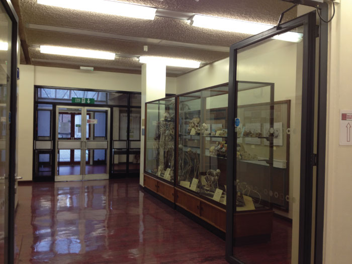 Towards Welsh Centre for Anatomical Education
